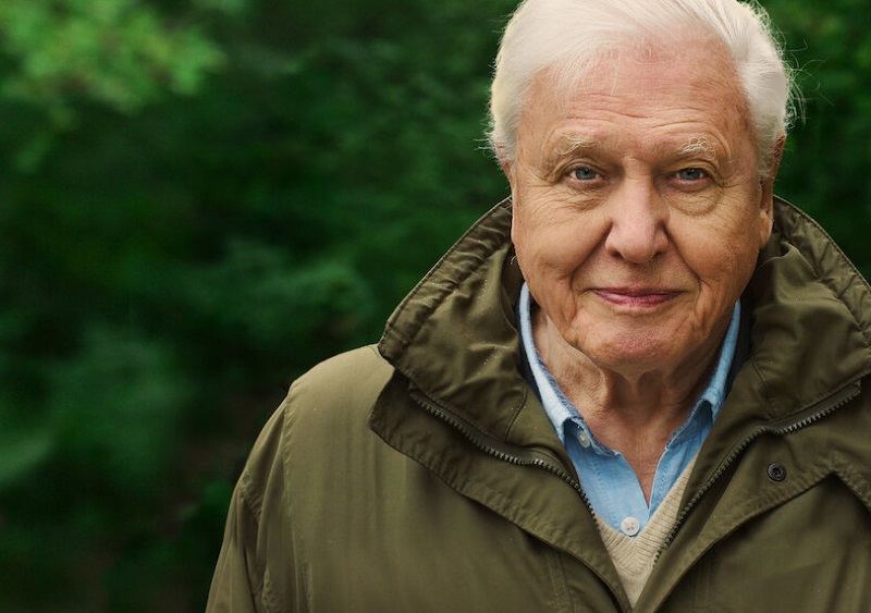 David Attenborough, 95 anos: Meio Ambiente