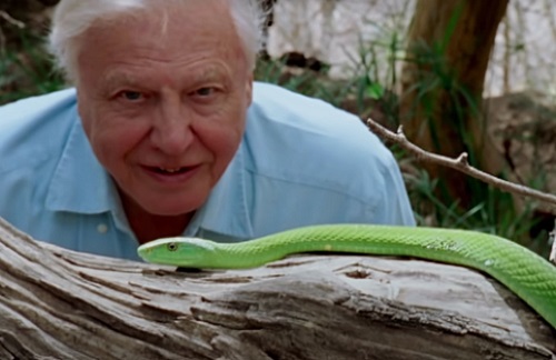David Attenborough e Nosso Planeta 