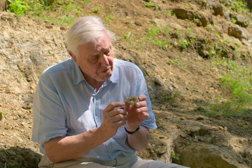 David Attenborough e Nosso Planeta 