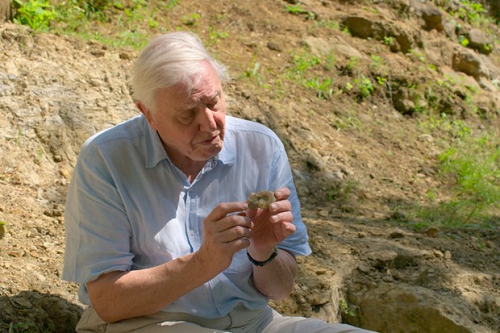 David Attenborough e Nosso Planeta/David Attenborough: A Life on Our Planet