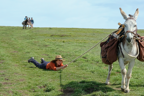 Minhas Férias com Patrick